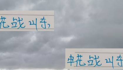 太脆了！申花战山东 巴西锋线外援全受伤了